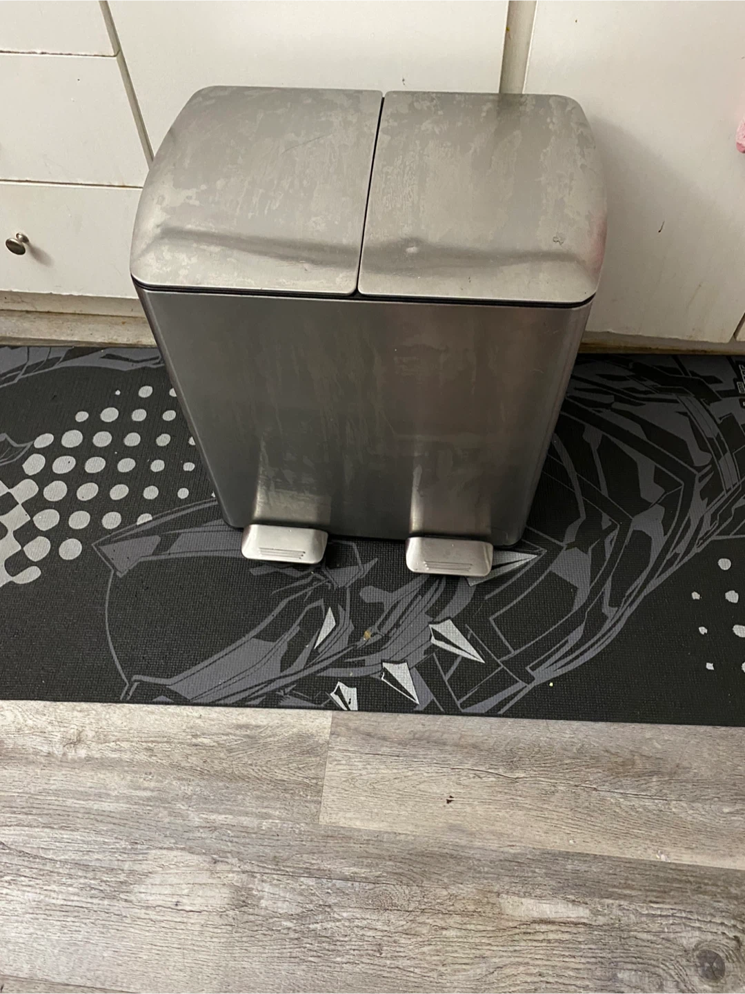 Stainless Steel Dual Compartment Trash Can