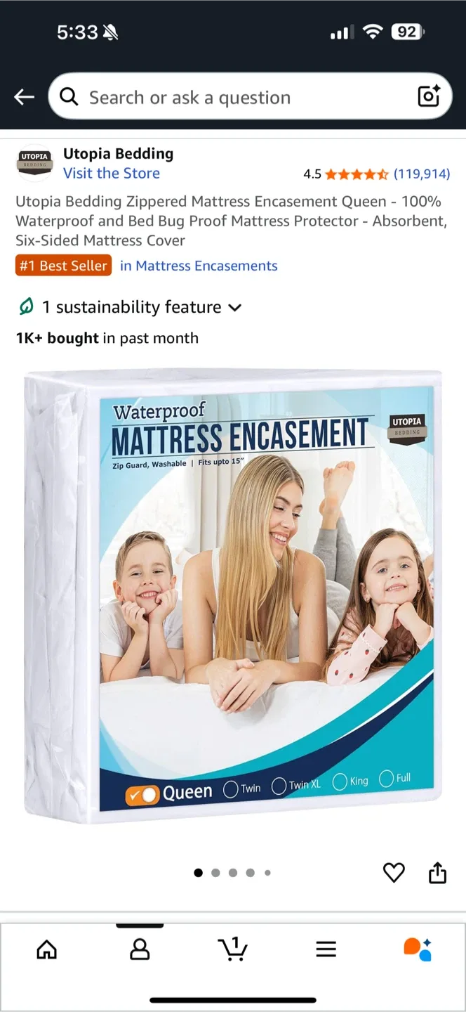 Queen Size Euro Foam Mattress image indicator(3)