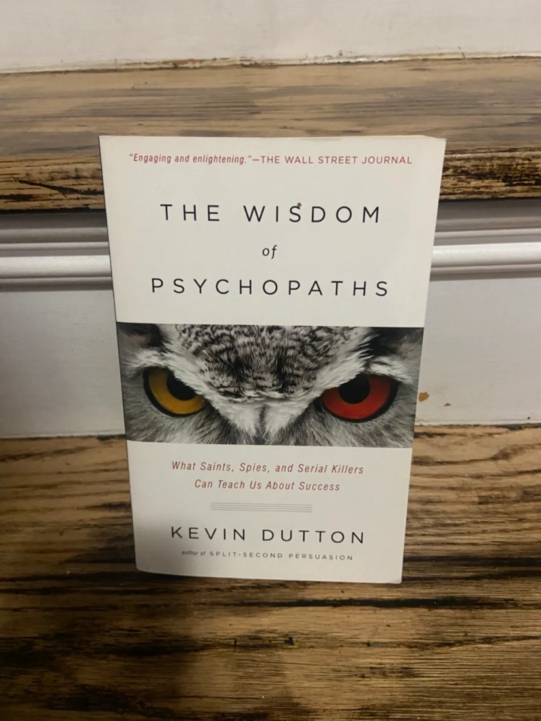 The Wisdom of Psychopaths thumbnail