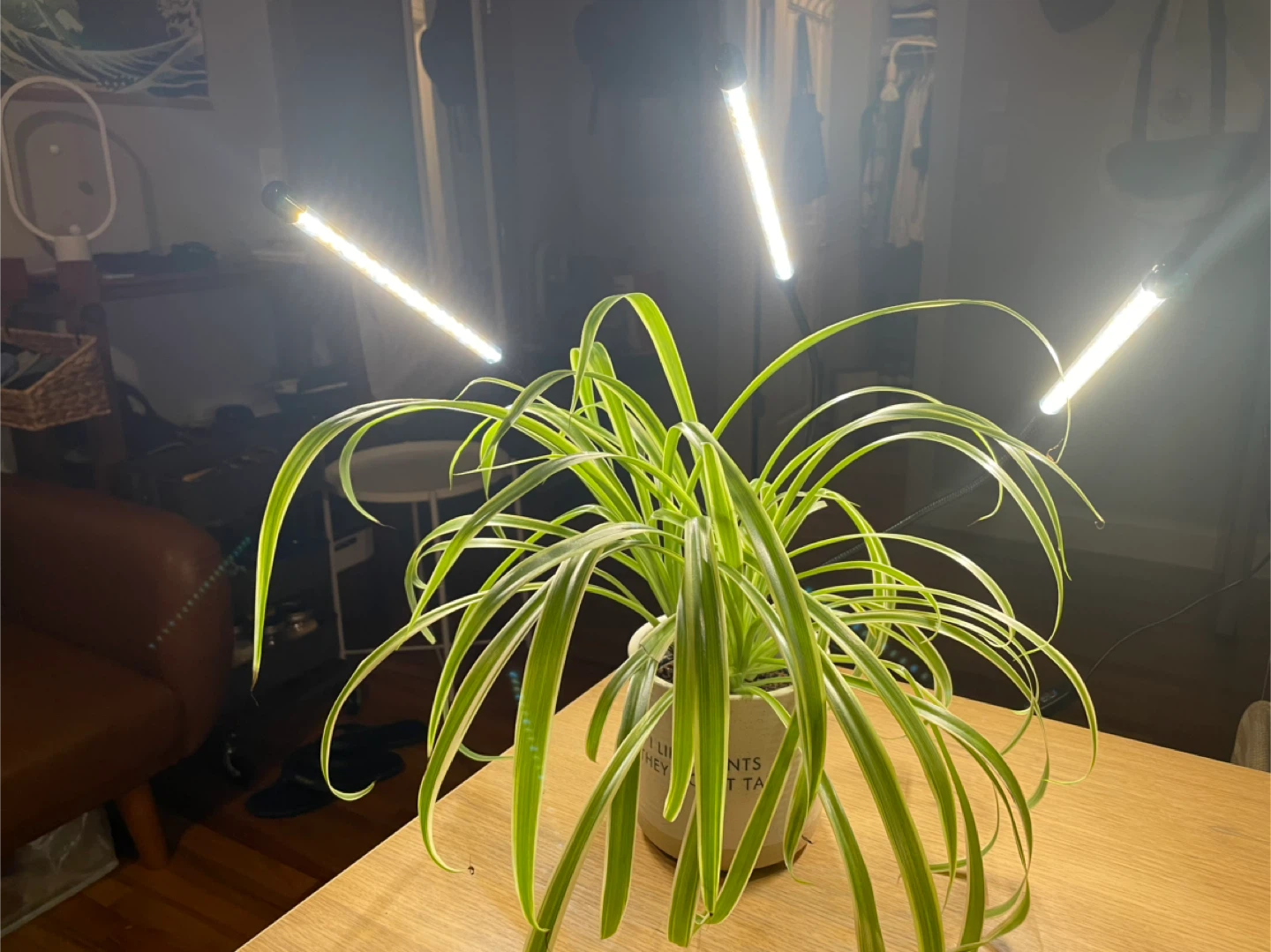Clip-on Plant Grow Light with 3 Flexible Arms - photo 2