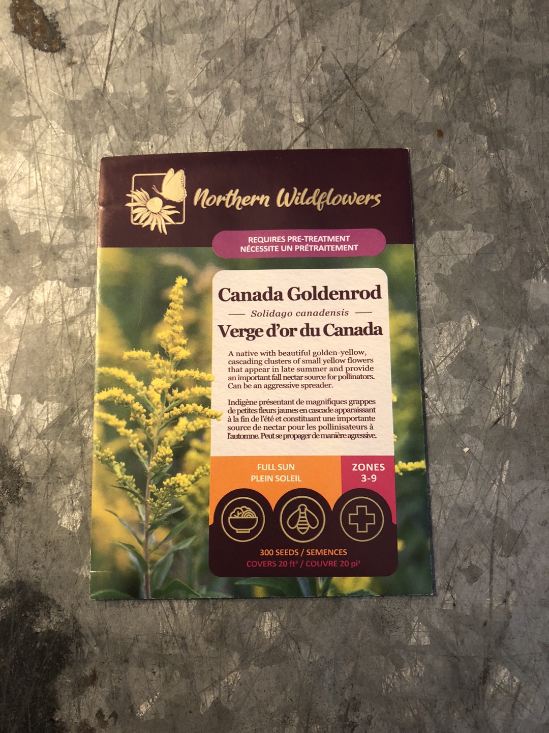 Northern Wildflowers Canada Goldenrod Seeds