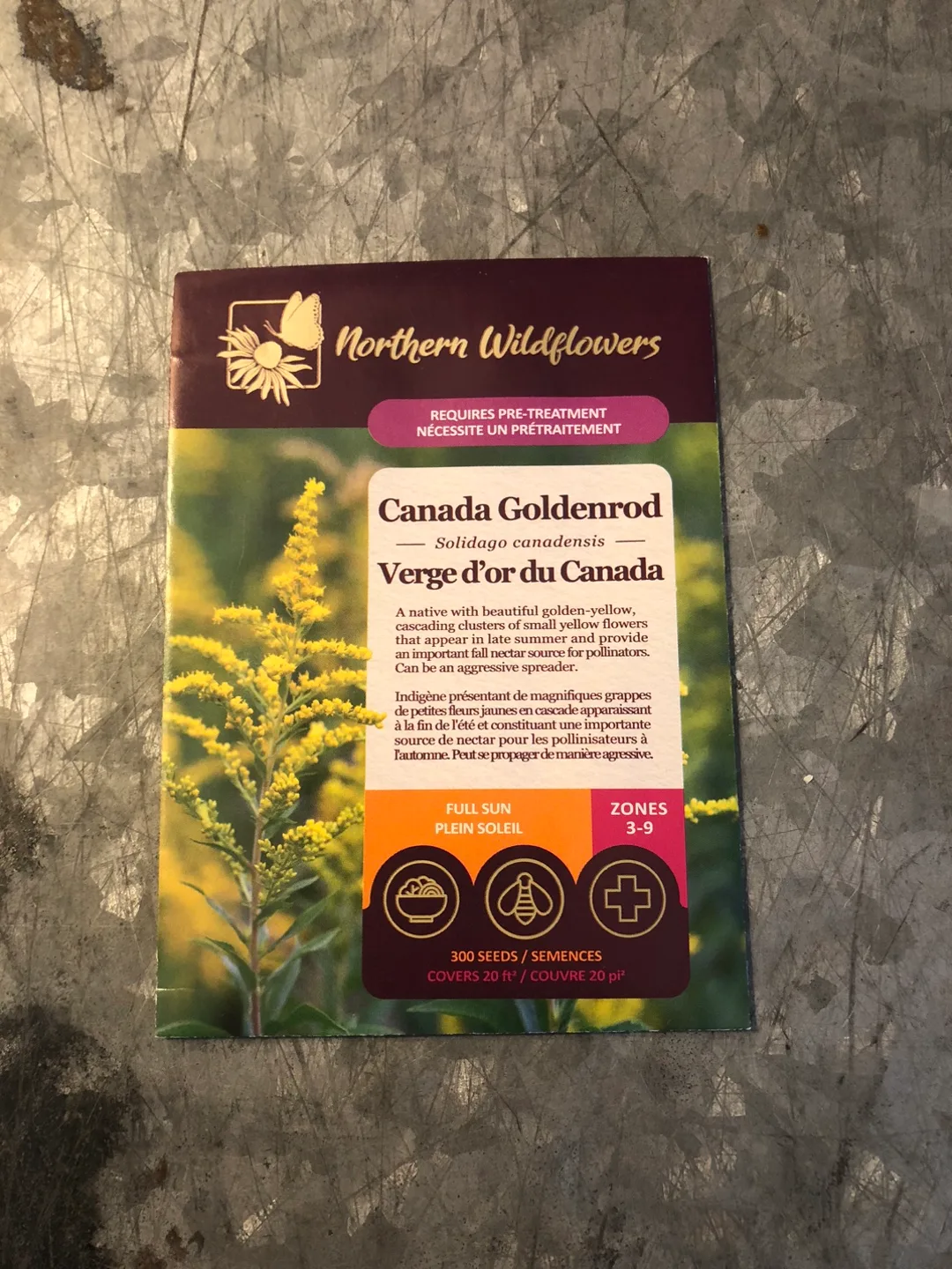 Northern Wildflowers Canada Goldenrod Seeds thumbnail