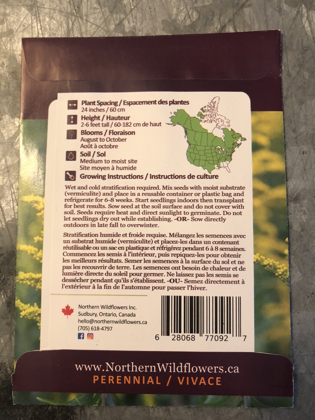 Northern Wildflowers Canada Goldenrod Seeds - photo 2