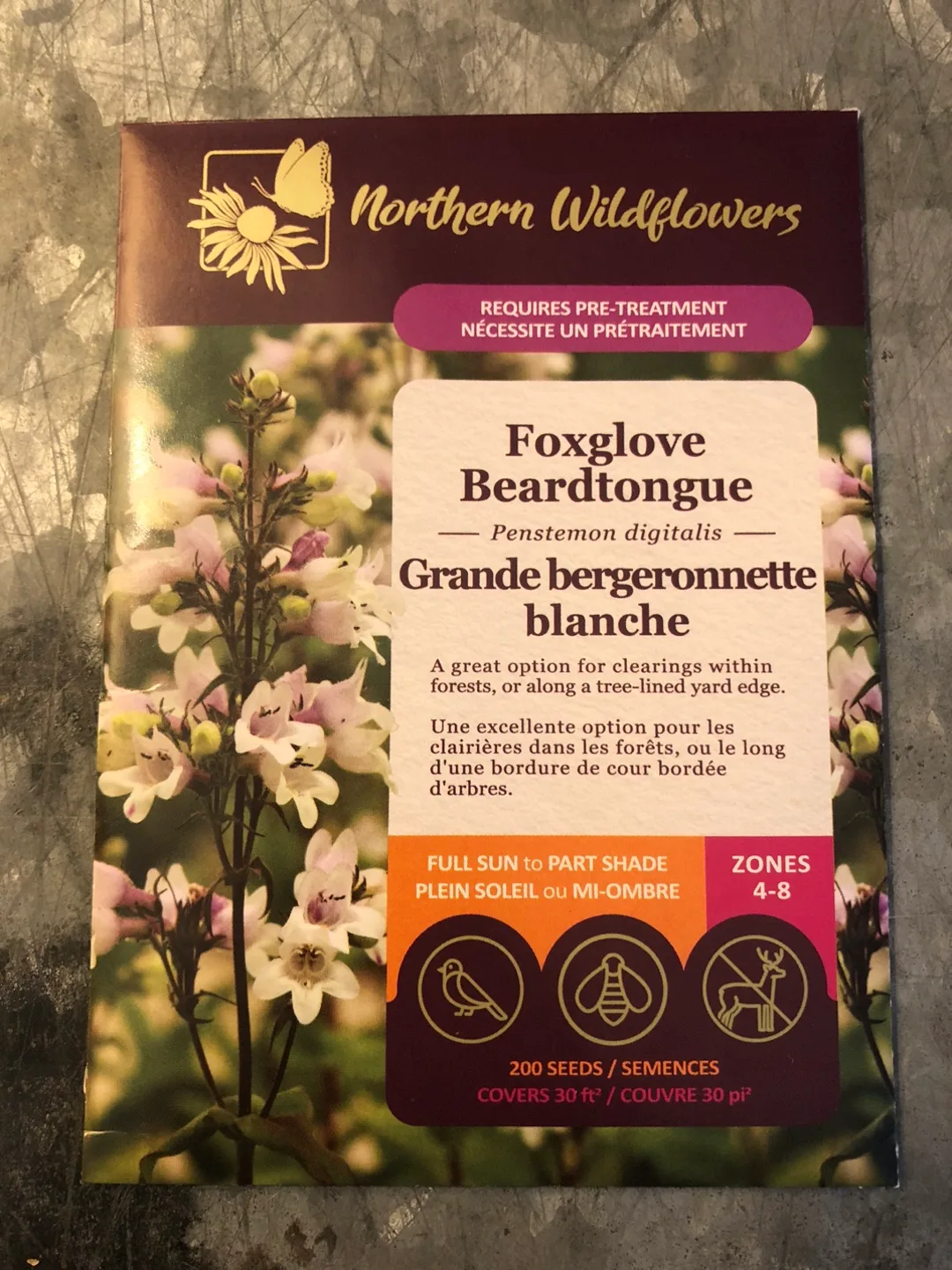 Northern Wildflowers Foxglove Beardtongue Seeds thumbnail