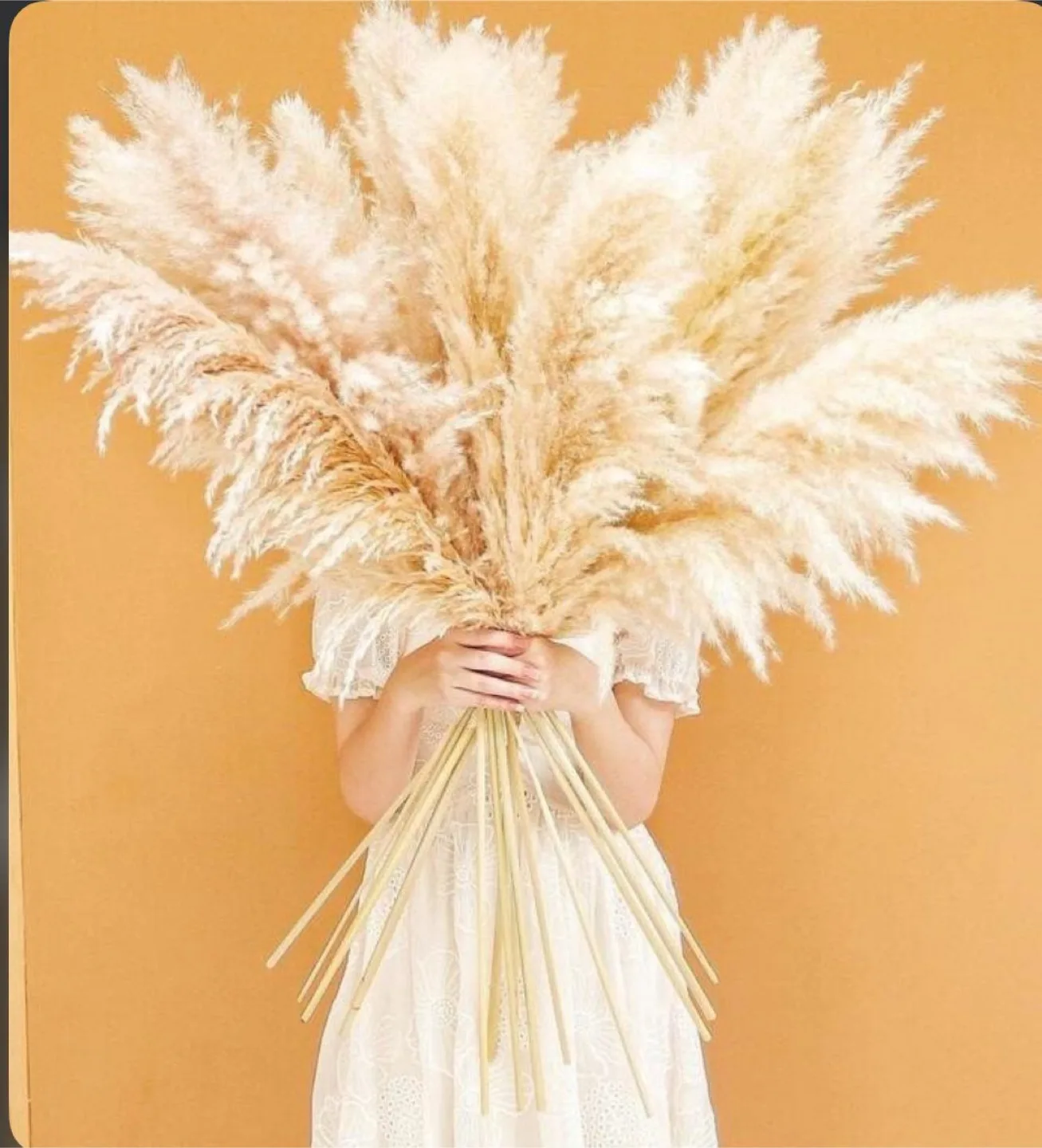 46” Natural Pampas Grass 10 stems image indicator(4)
