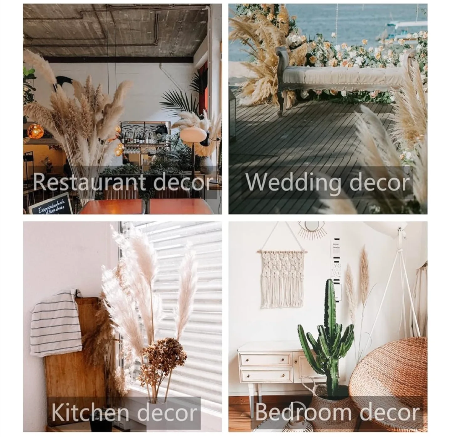 46” Natural Pampas Grass 10 stems image indicator(6)