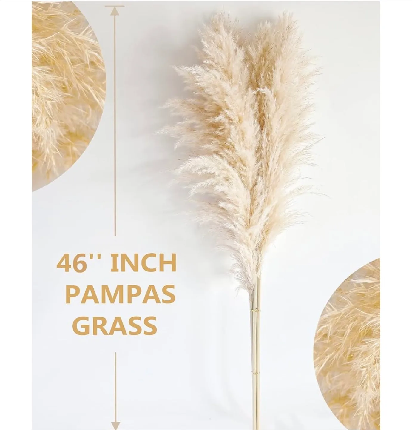 46” Natural Pampas Grass 10 stems image indicator(2)