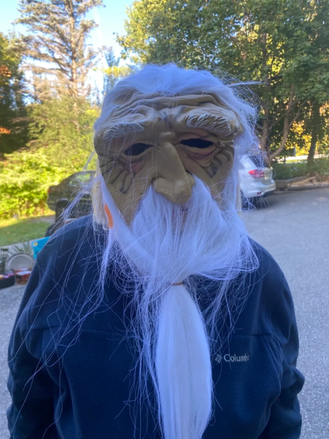 Hello Kitty Pumpkin Push-Ins Halloween Decor, New image indicator(4)