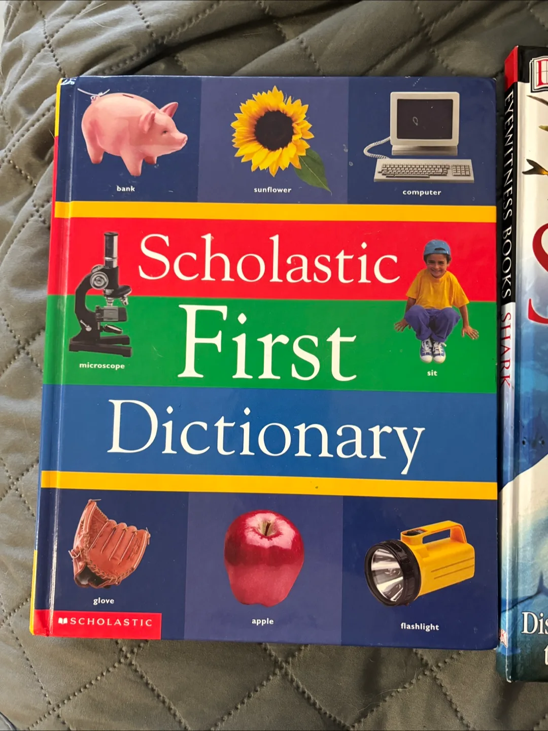 DK Eyewitness Books: Shark + Scholastic First Dictionary thumbnail