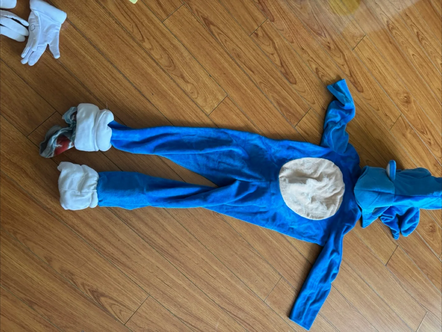 Sonic the Hedgehog Costume thumbnail