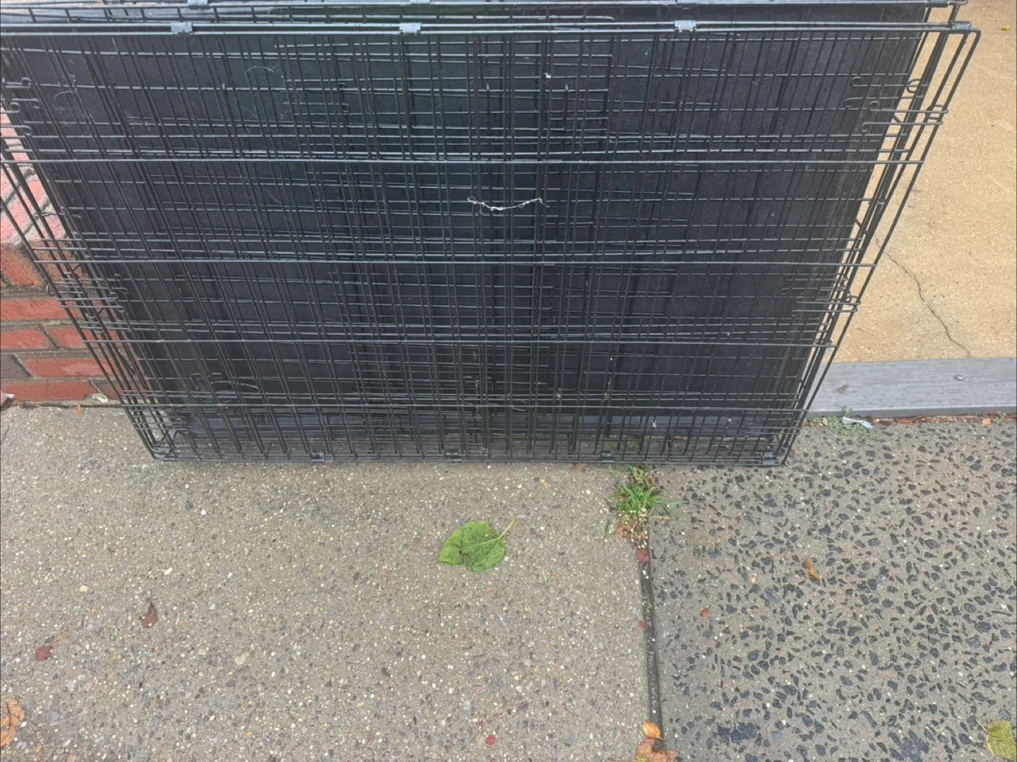 Amazon Basics Single Door Dog Crate 48 inch image indicator(3)