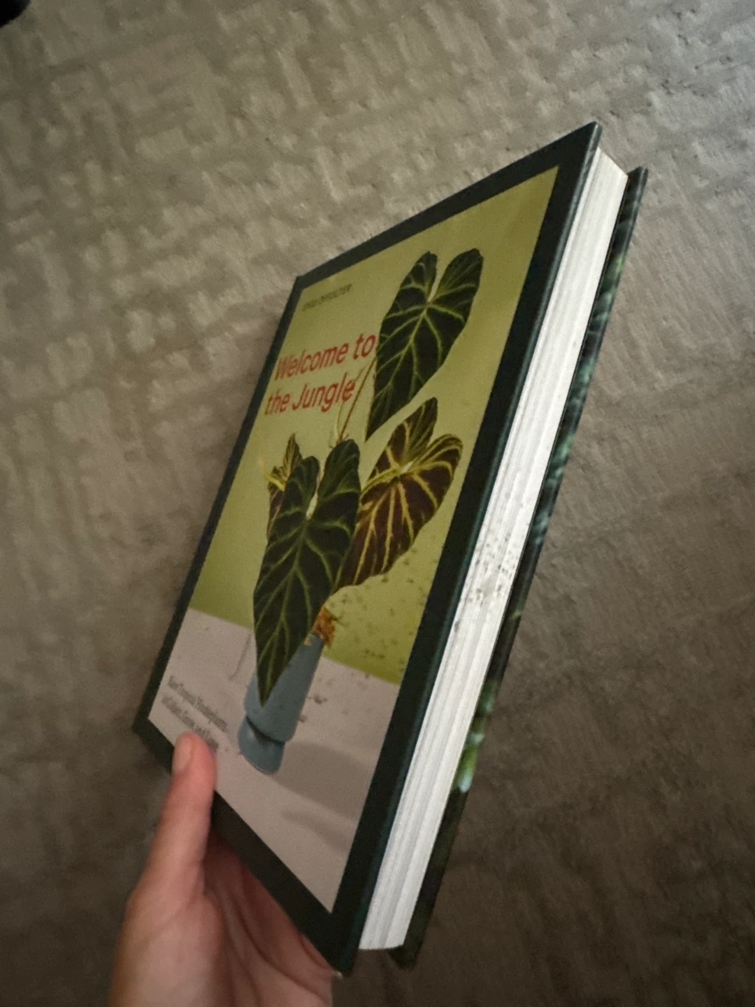 Book Welcome to the Jungle by Enid Offolter - photo 3