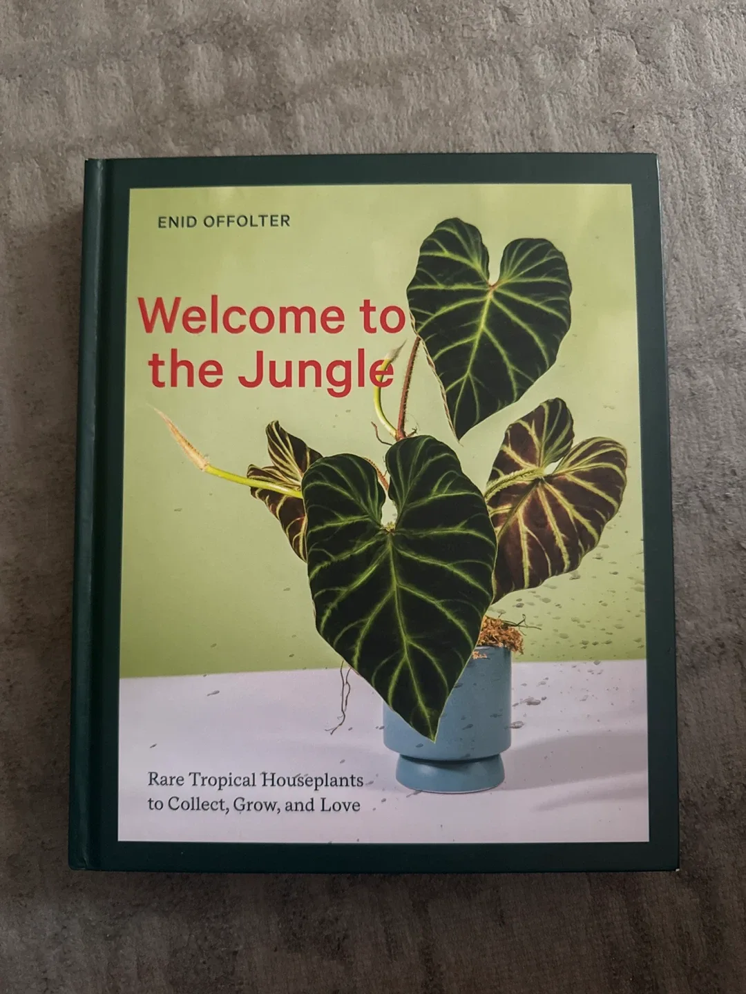 Book Welcome to the Jungle by Enid Offolter