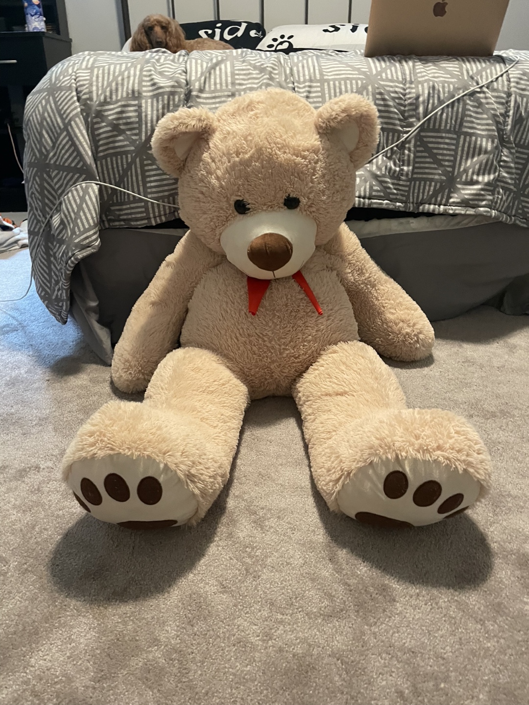 Giant Teddy Bear - photo 2