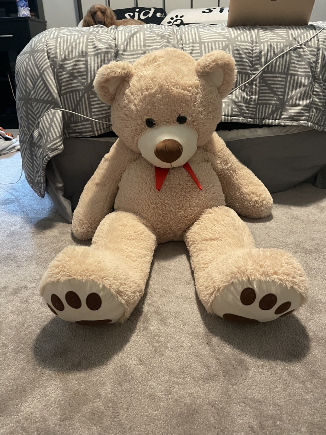 Giant Teddy Bear - photo 5