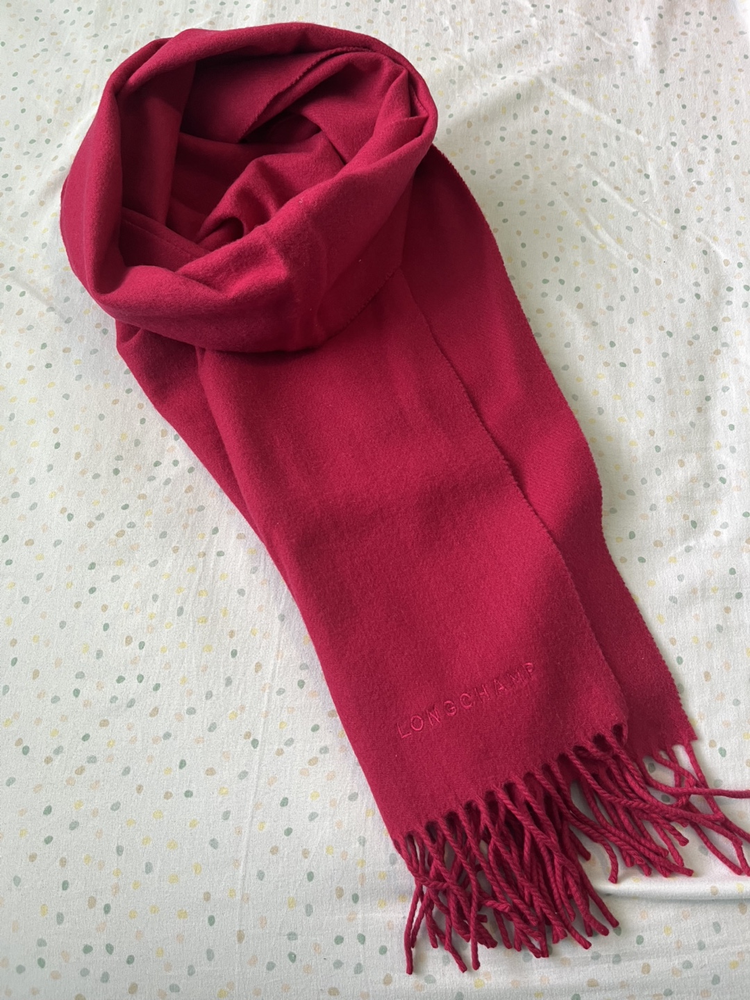 Longchamp Wool & Cashmere Scarf - photo 2