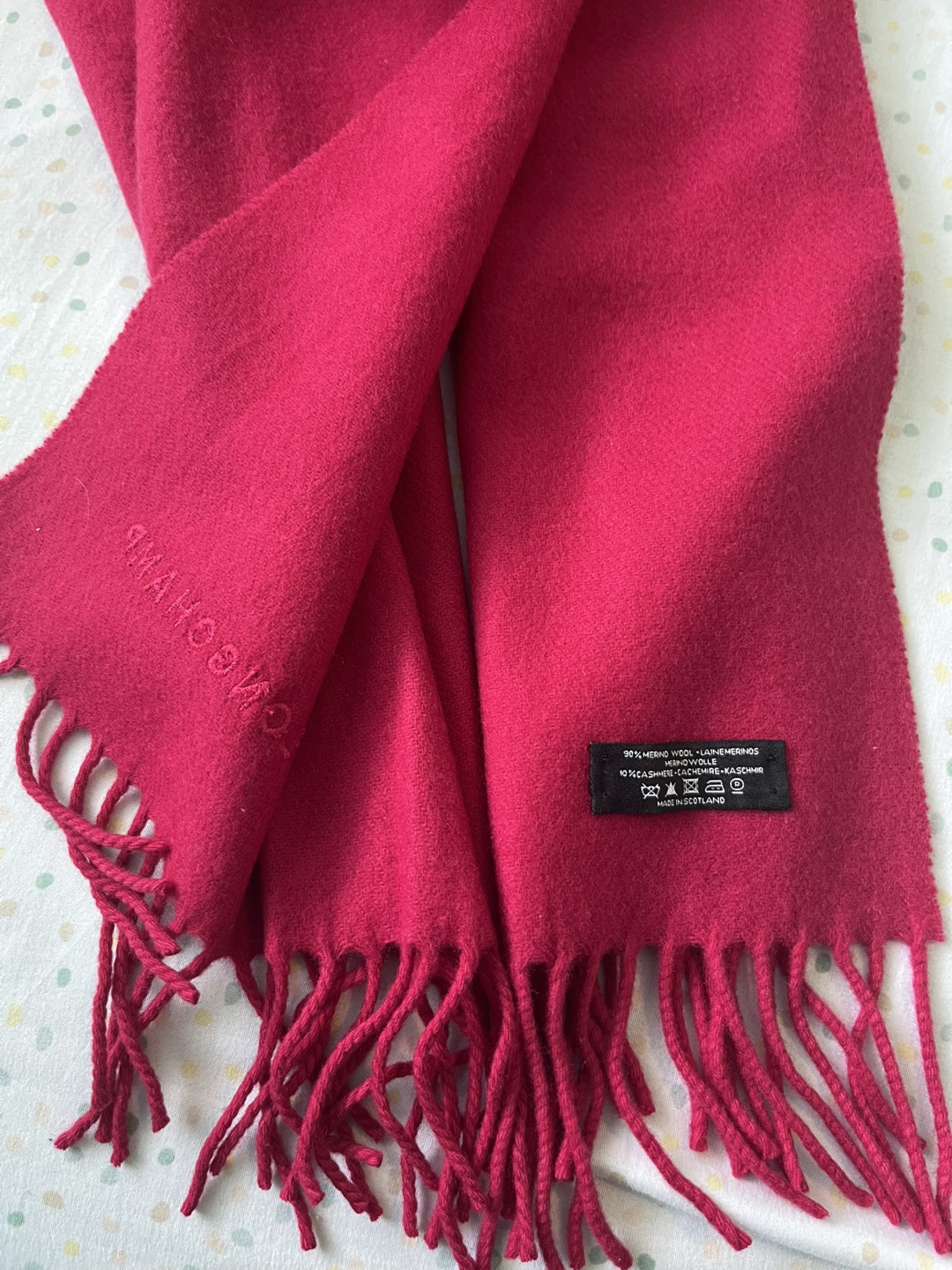 Longchamp Wool & Cashmere Scarf - photo 3