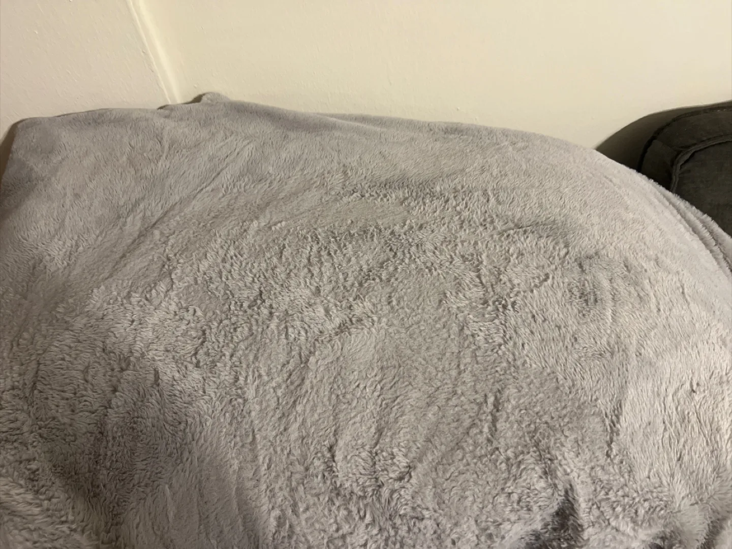 Vera Wang Gray Plush Blanket
