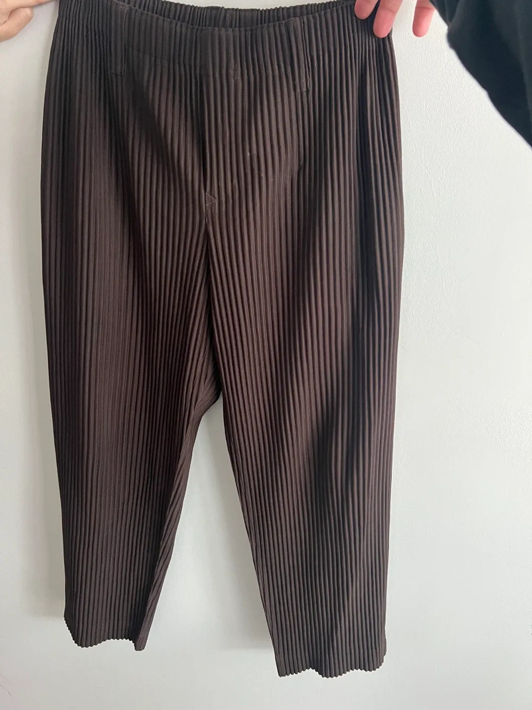 Homme Plissé Issey Miyake Pleated Trousers thumbnail