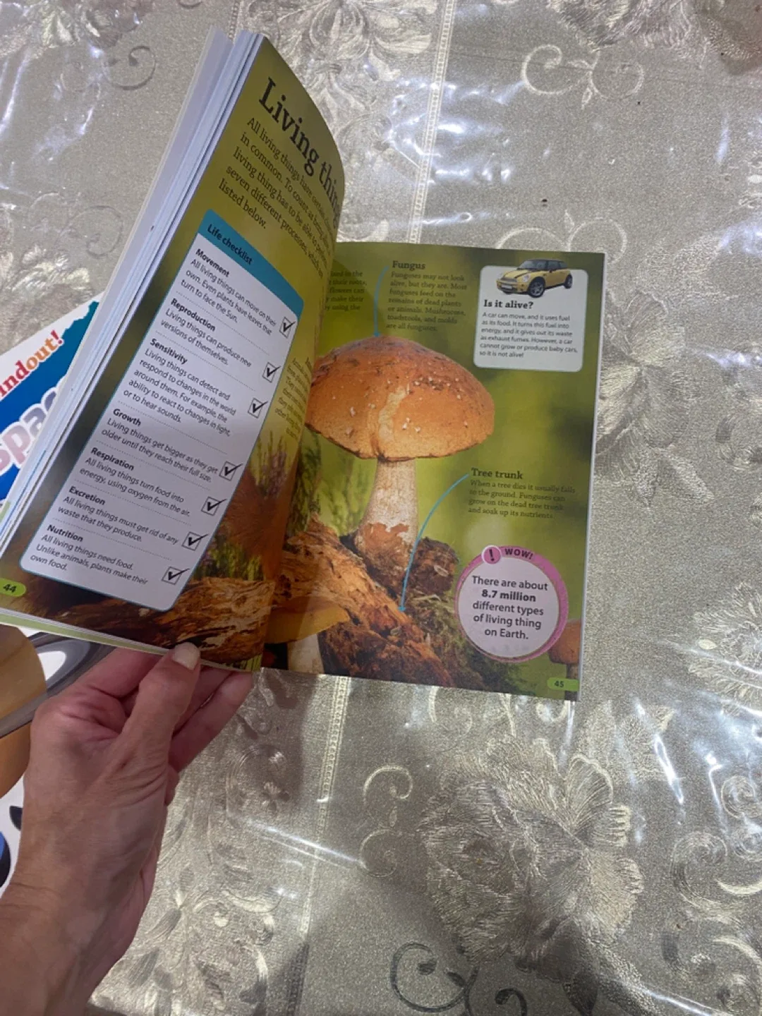 DK Findout! Science, Space Travel, Solar System Books image indicator(3)