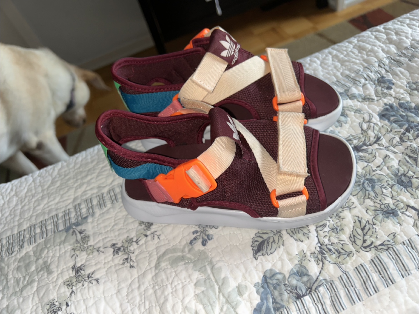 Adidas Adilette Burgundy Sandals. Brand new - photo 3