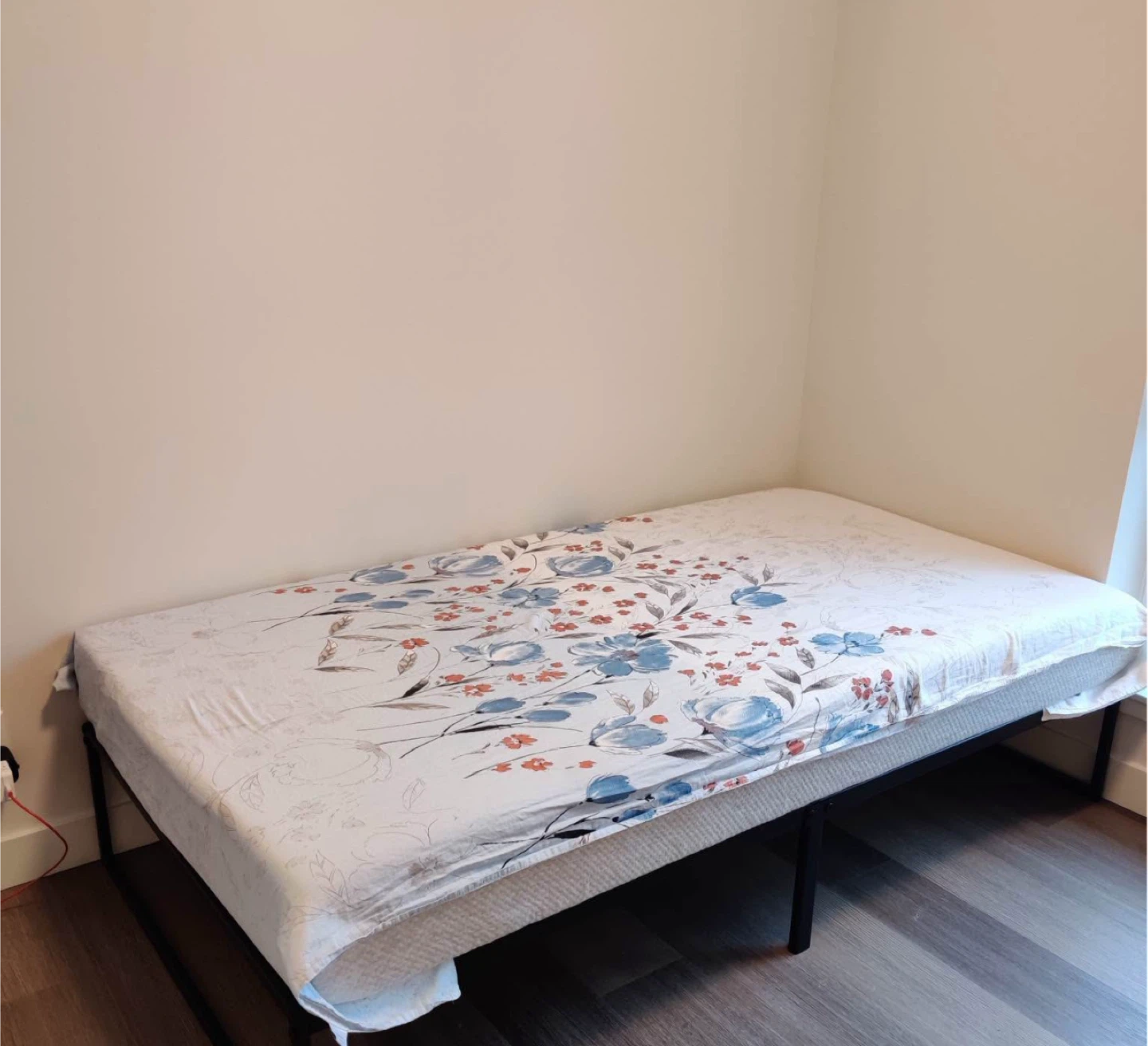 Zinus king and twin Mattress
