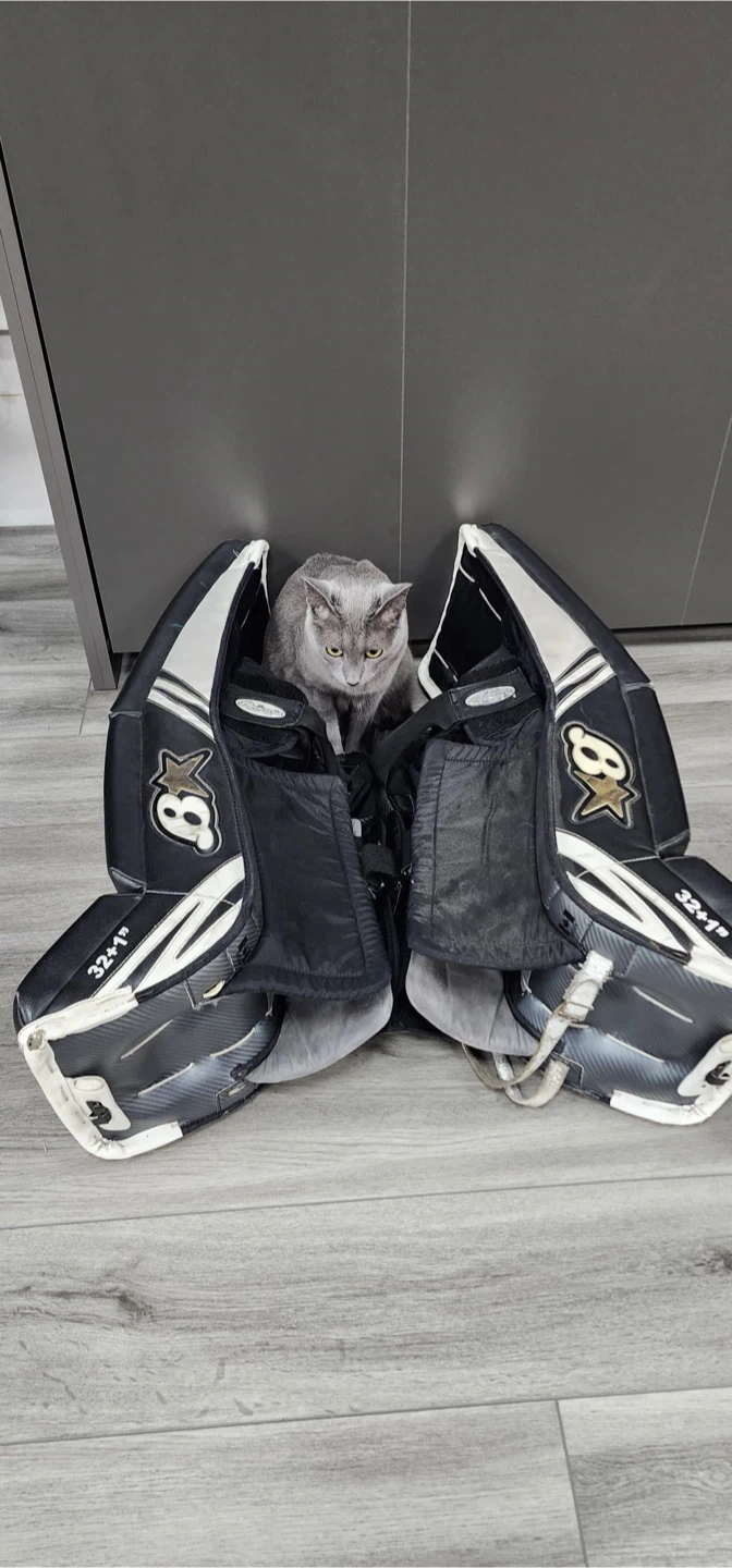 Brian’s 32+1 Subzero Hockey Goalie Pads & Gloves Set