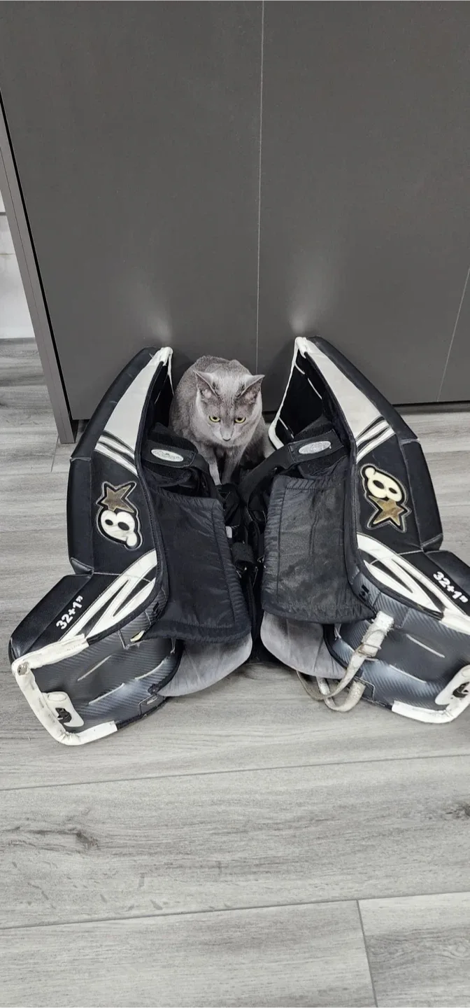 Brian’s 32+1 Subzero Hockey Goalie Pads & Gloves Set