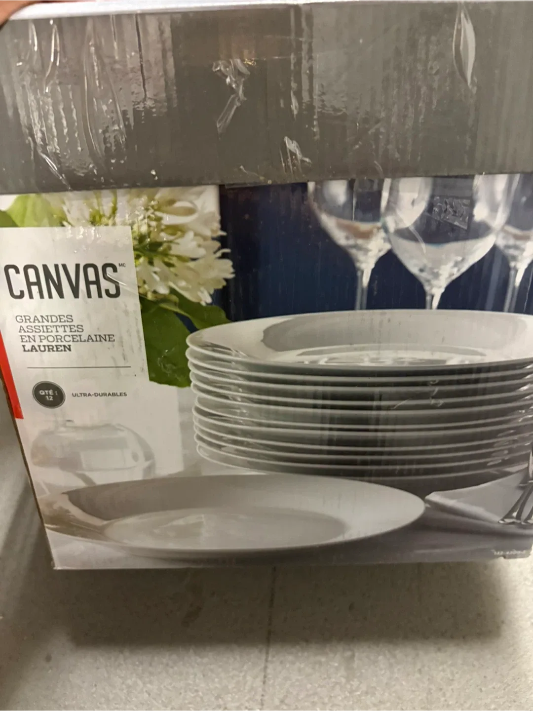 Canvas Lauren 12-Piece Dinner Plates thumbnail