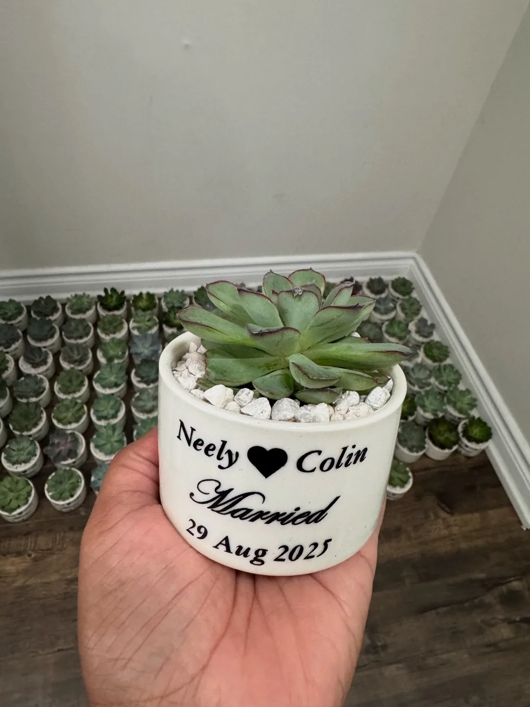 Succulent Wedding Favours / party favors