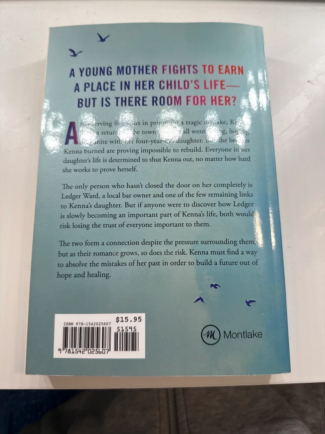 Reminders of Him - Colleen Hoover Novel image indicator(2)