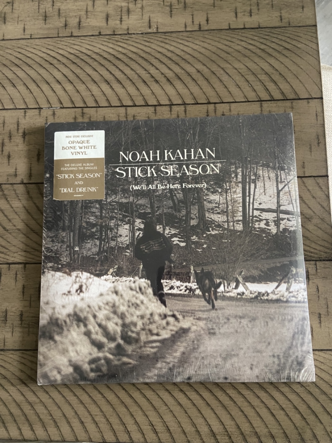 Noah Kahan - Stick Season Vinyl Record