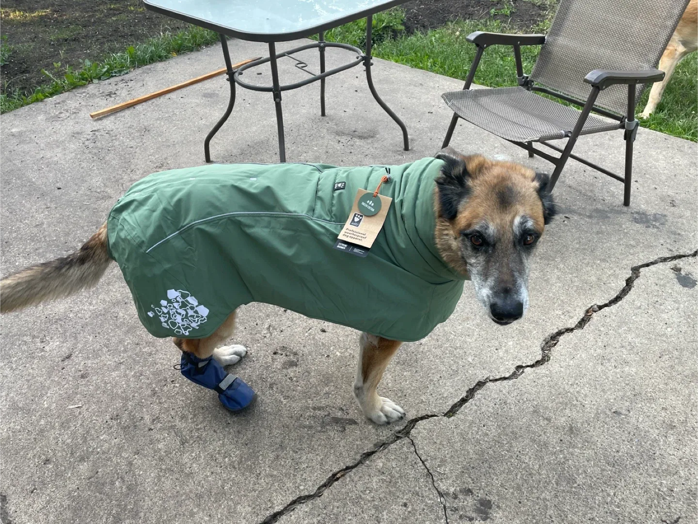 Hurtta Extreme Warmer Eco Dog Coat - Size 60/24 image indicator(7)