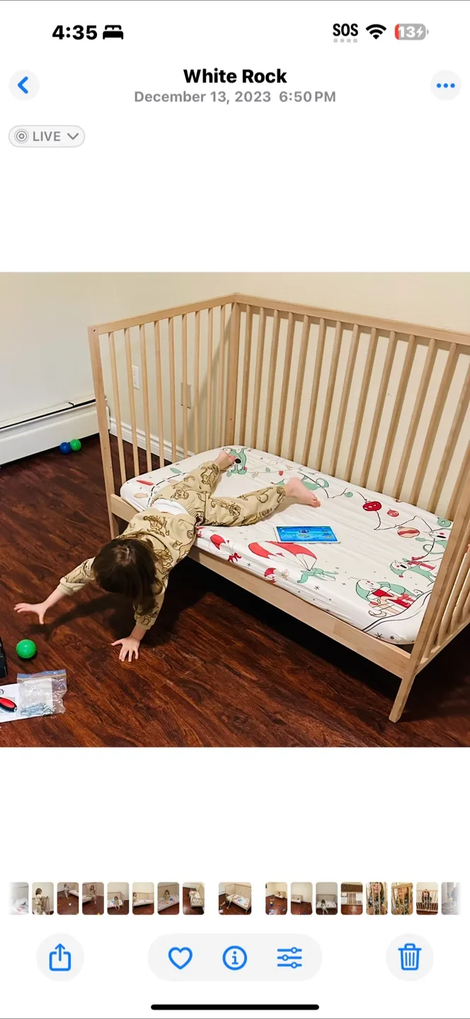 Convertible IKEA Wooden Baby/toddler standard crib image indicator(3)