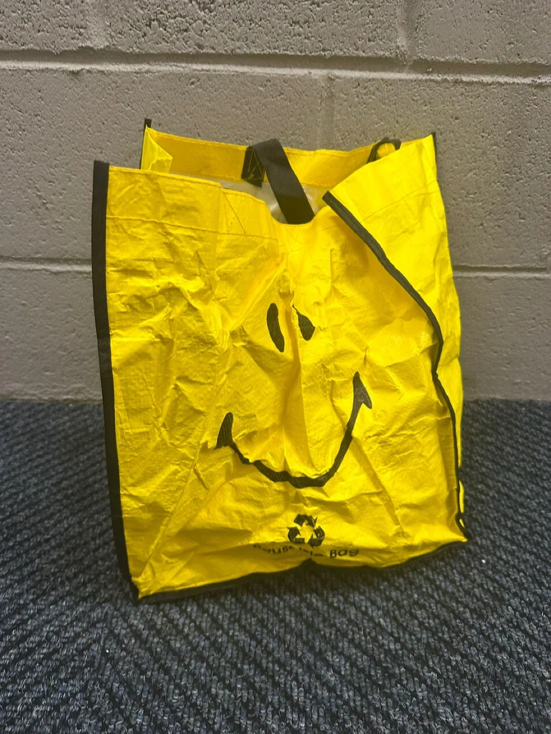 Reusable Shopping Bags 3 count thumbnail