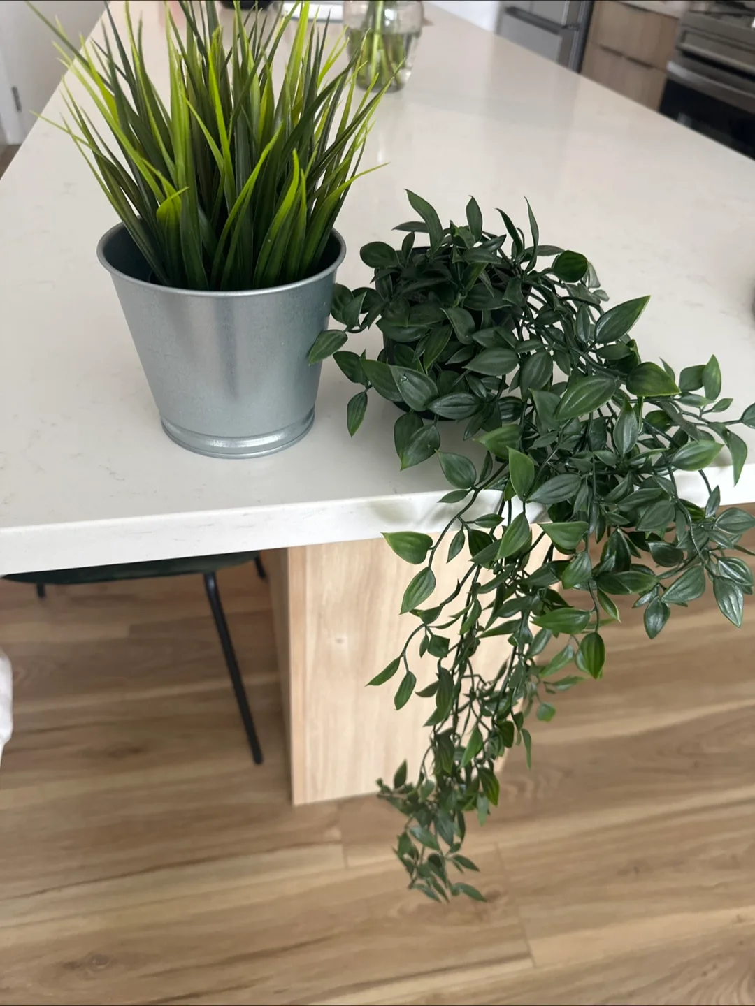 Artificial Plants 🥕