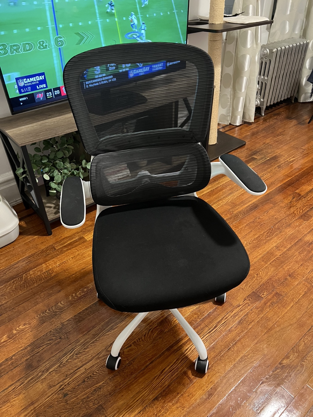 Ergonomic Office Chair with Back Support