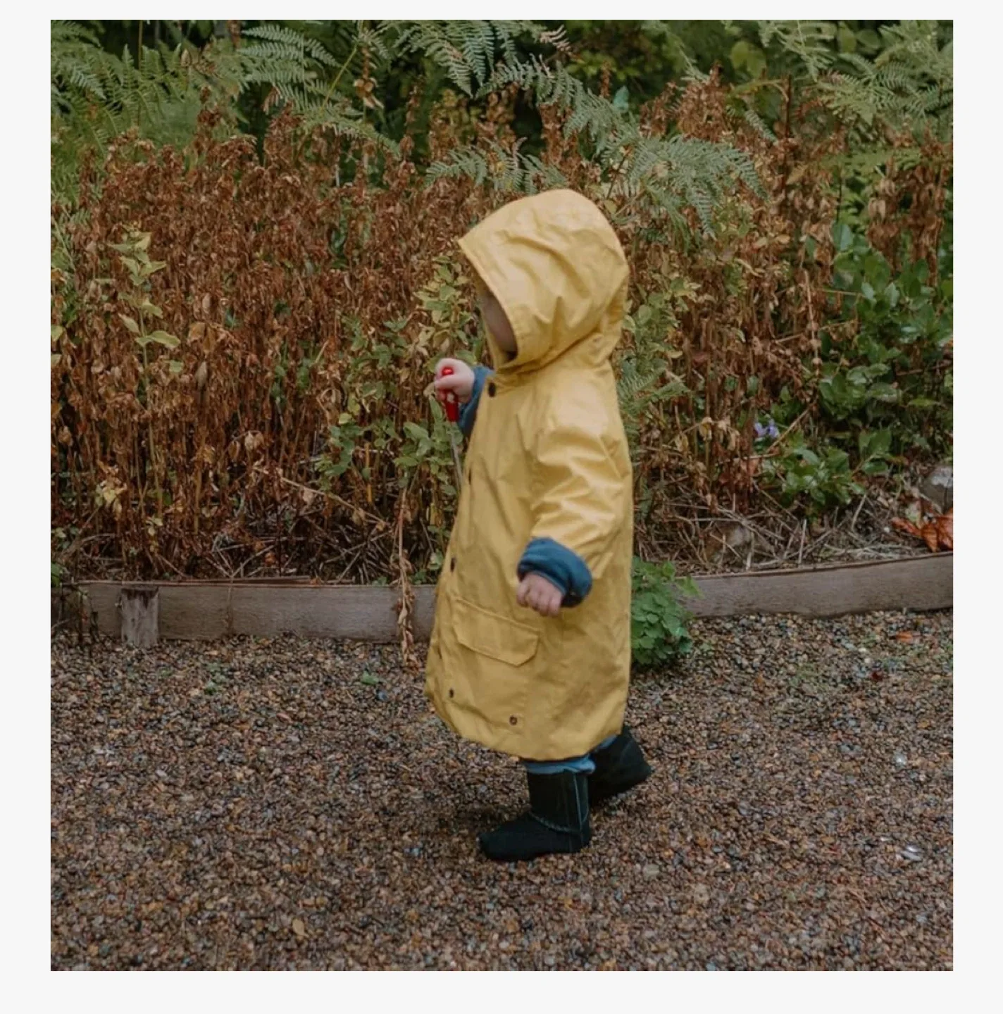 New! Robeez Infant Boots 6-12 Months price firm image indicator(2)