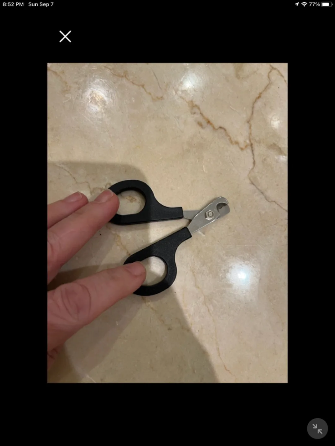 Pet Nail Clippers thumbnail