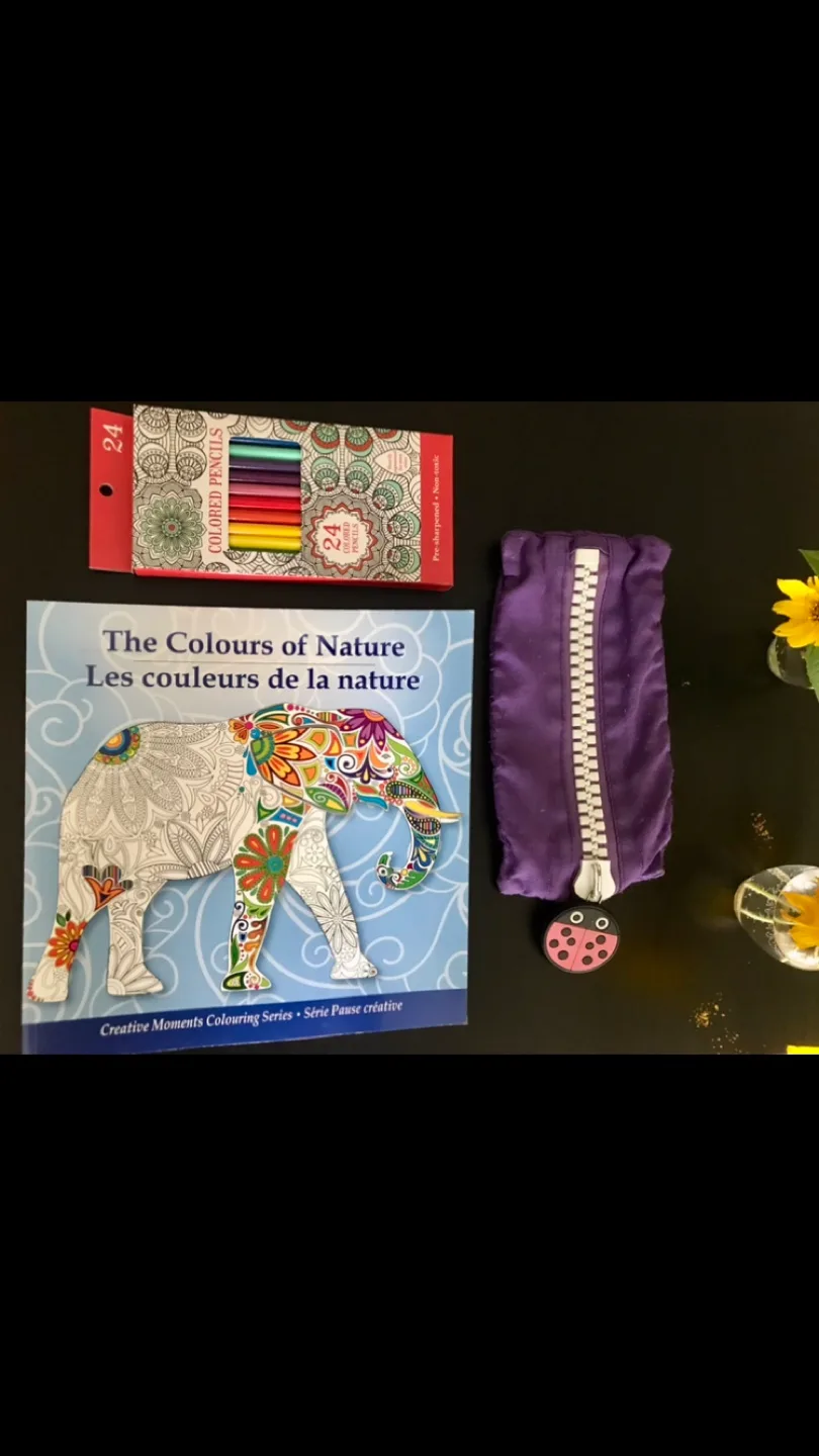 Stationery Bundle: Coloring Book+Colors+Case✨FREE Unicorn Tape thumbnail