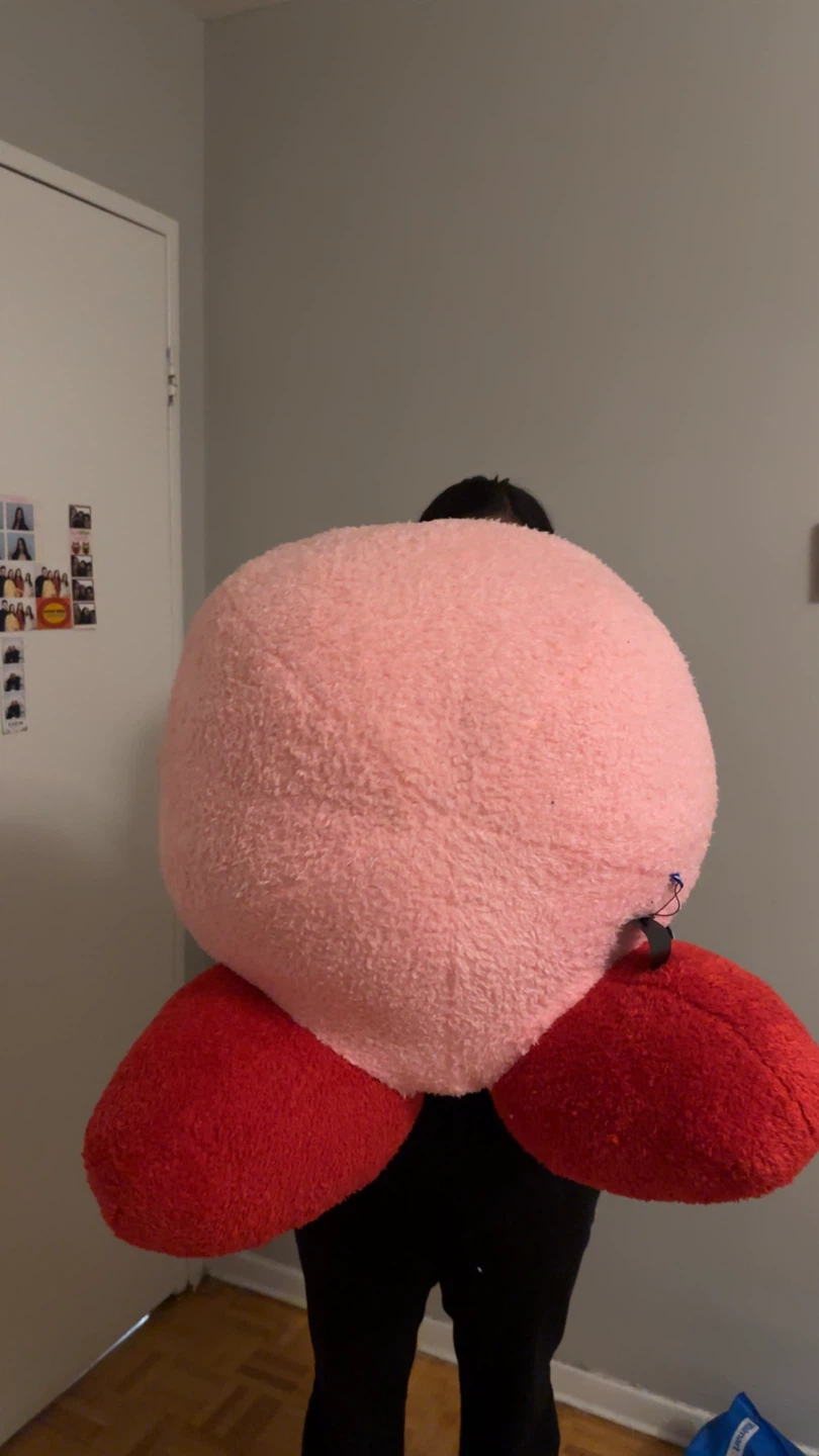 Kirby Plush - photo 2