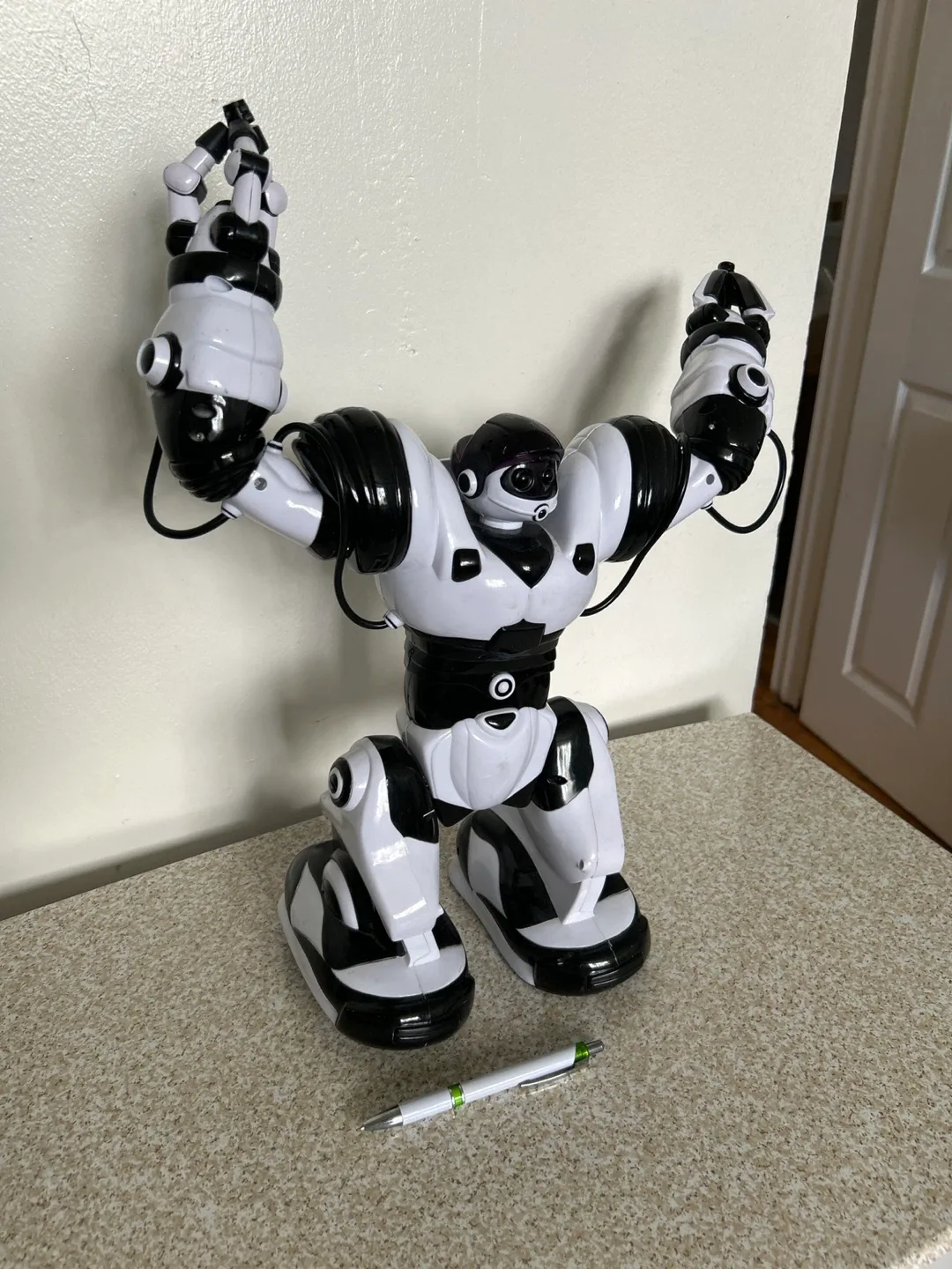 White and Black Robot Toy thumbnail