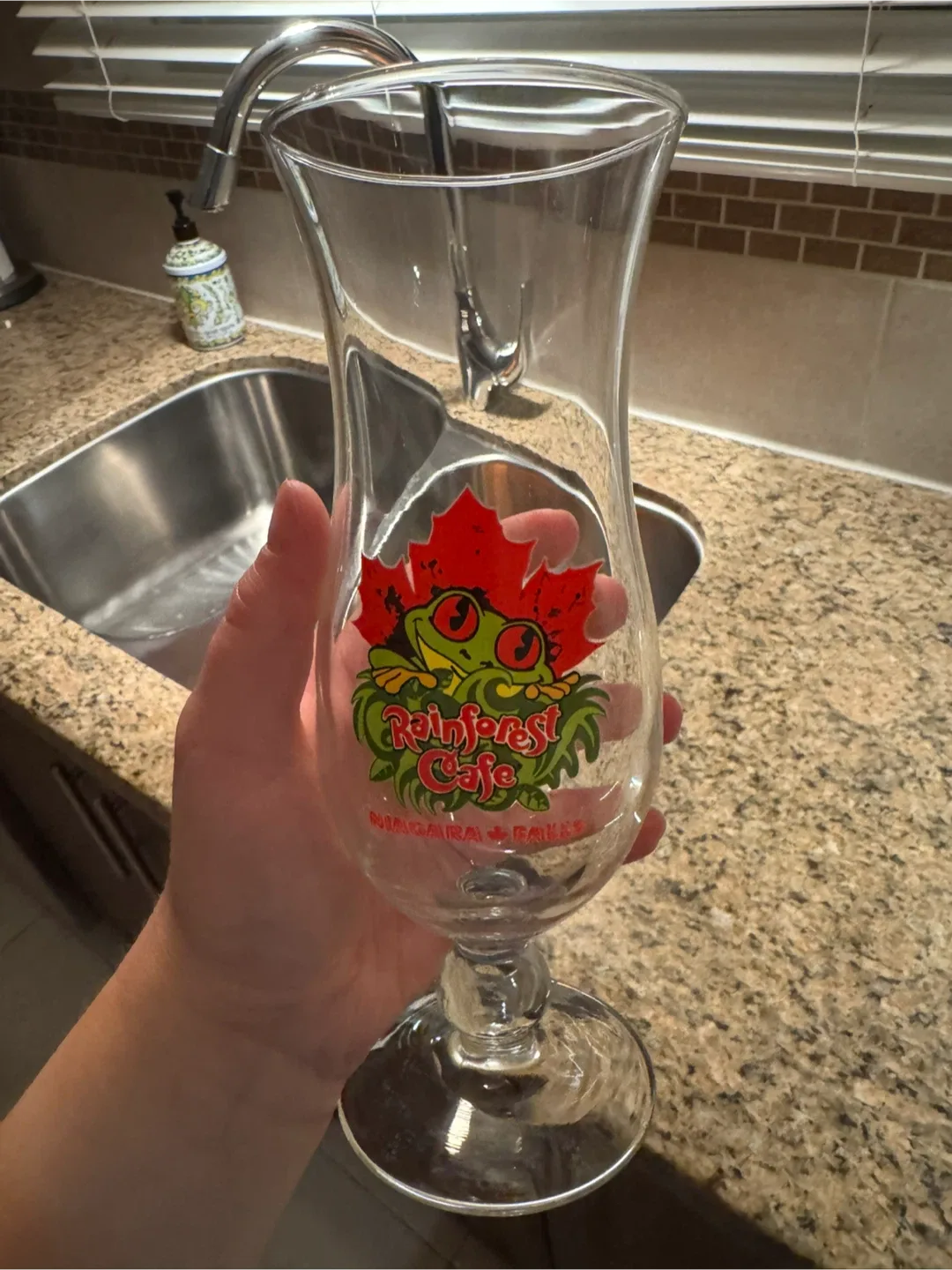 Rainforest Cafe Niagara Falls Glass thumbnail