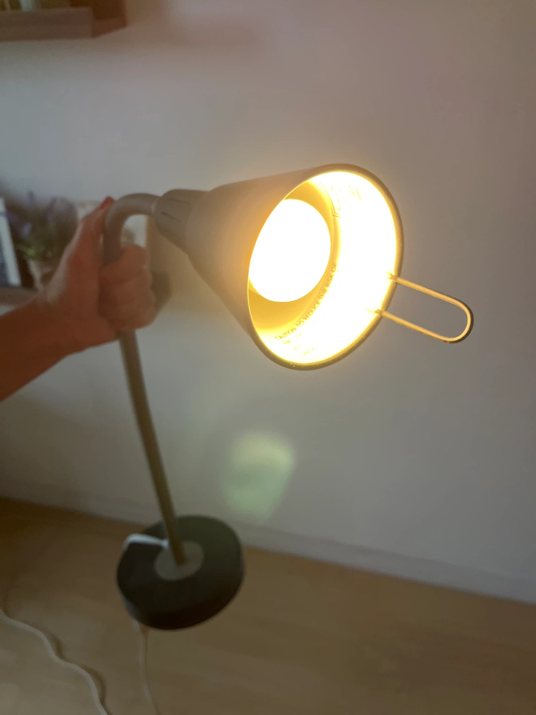 Adjustable Gooseneck Floor Lamp - photo 3