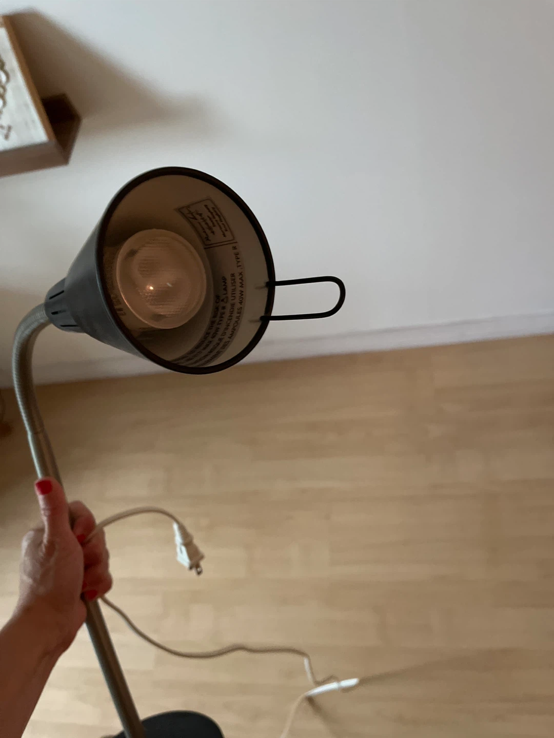 Adjustable Gooseneck Floor Lamp - photo 2