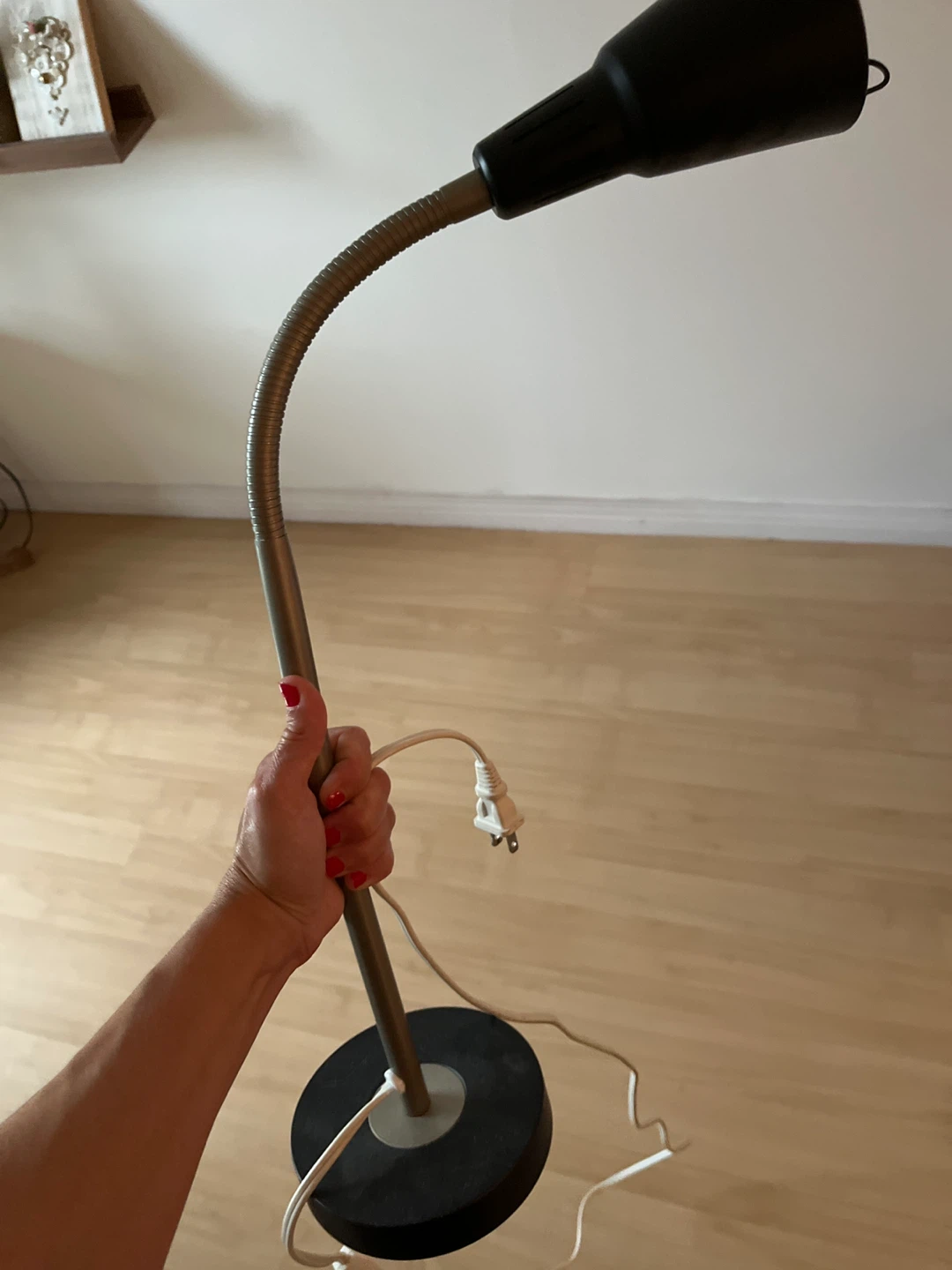 Adjustable Gooseneck Floor Lamp