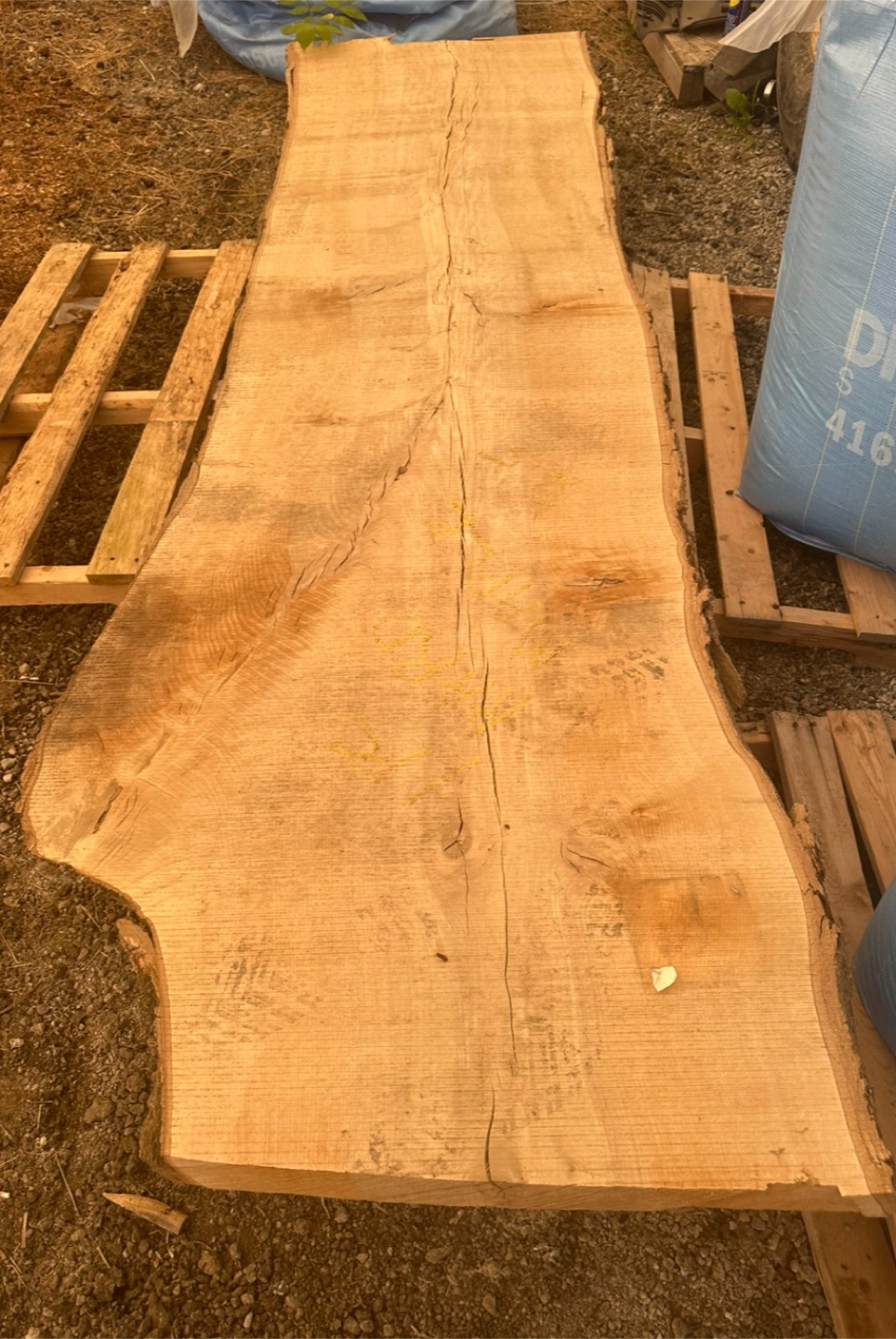 Maple Wood Slab