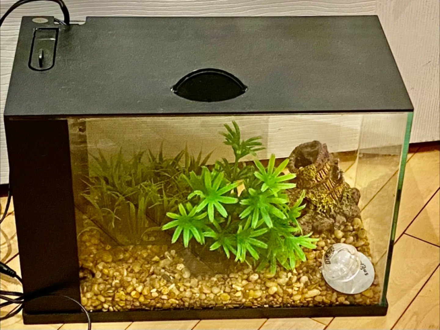 Aquarium Fish Tank 🥕 thumbnail