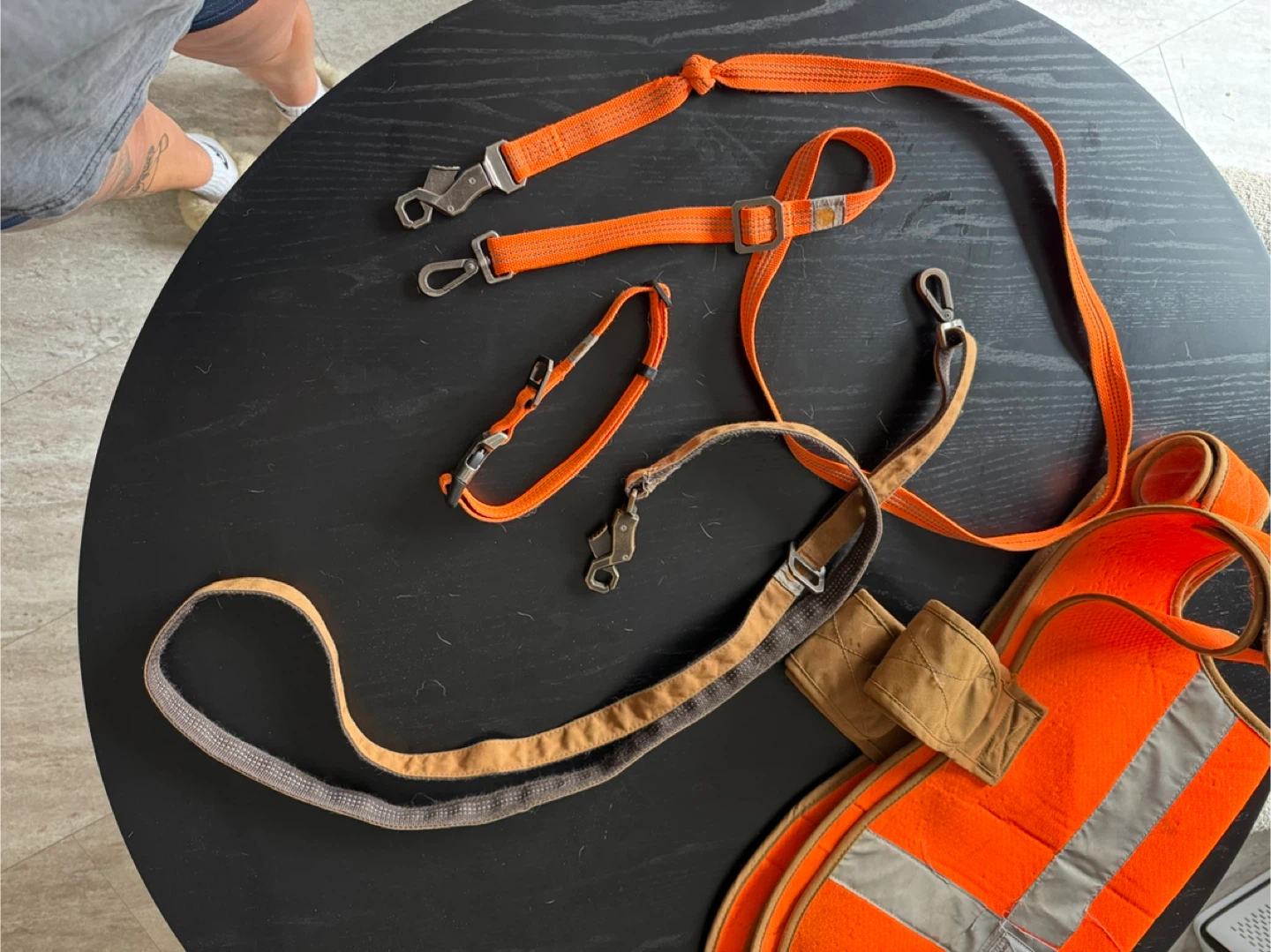 Carhartt Dog Safety Vest & Leash Set - photo 2