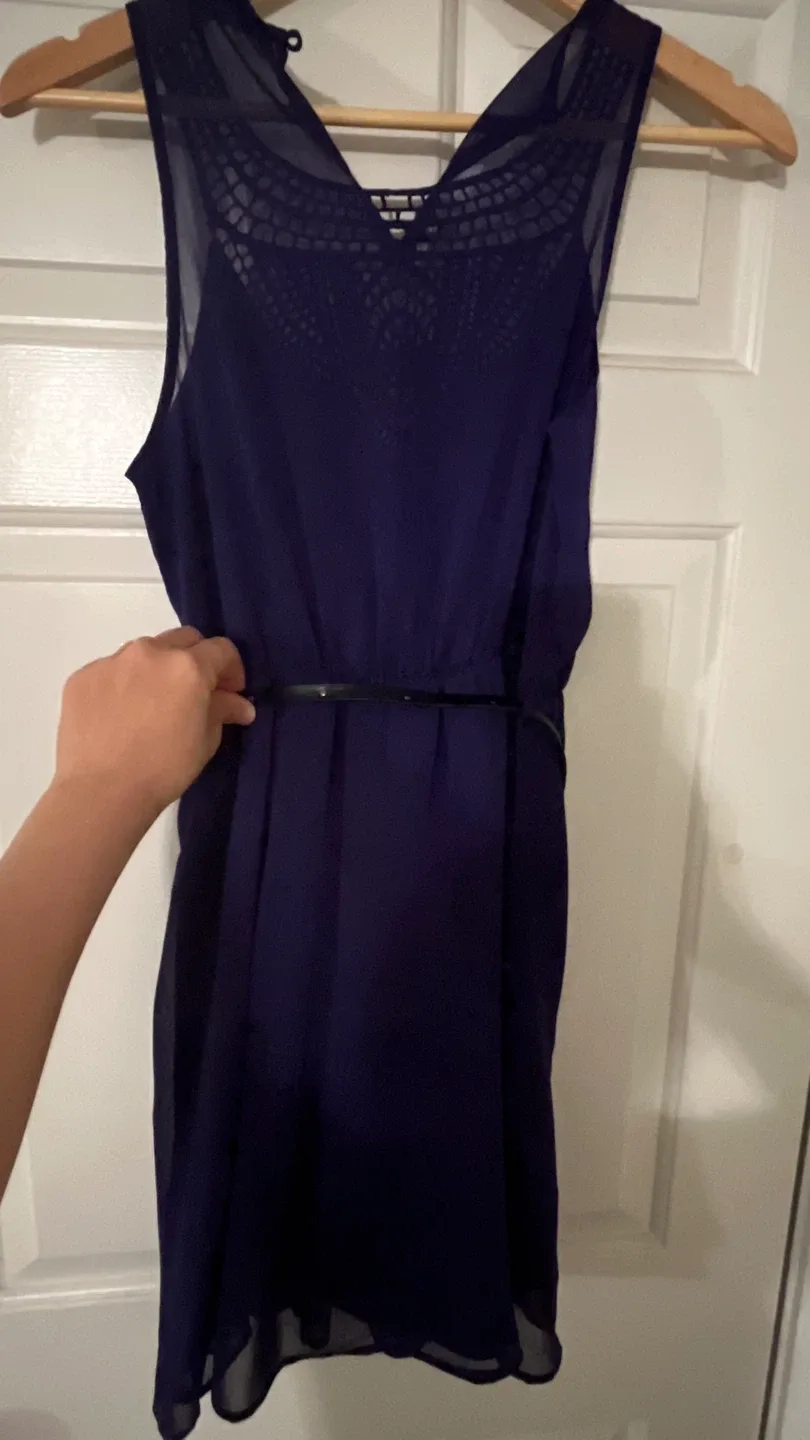 Dex Purple Dress - Size S image indicator(3)